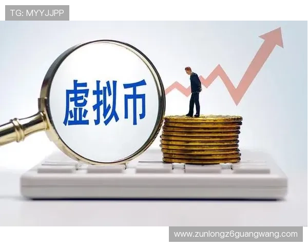 尊龙时凯人生官网电脑版游戏内购与虚拟货币使用攻略详解